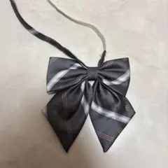 Item thumbnail for item 0446f9d2-1796-49a2-9d09-faf0fb7f272c