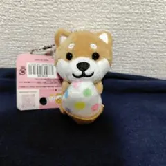 【ラス1】旅するマメしば 香川限定 おいりソフト