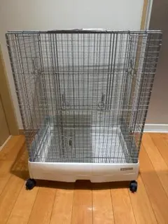 Item thumbnail for item 9d727113-4752-4e2f-9219-8852cc444e34