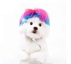 猫ウィッグ 犬ペットウィッグ ハロウィン コスプレ ウィッグ wig カラー