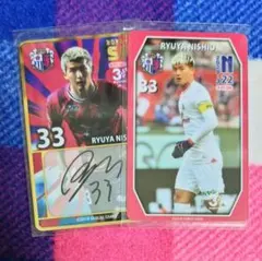 Item thumbnail for item e22b5928-3fd3-4a5d-bbb6-8832113adcfc