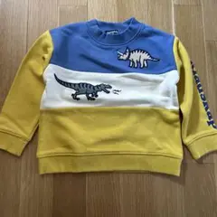 kladskap 100 トレーナー
