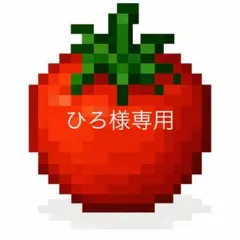 ひろ様専用です‼️3日出荷予定‼️訳ありトマト9キロ以上