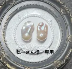 ねーさん様　専用