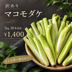信州産 マコモダケ 訳あり