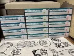 SARAYA プラスチック手袋Eサイズ色々12箱セットのサムネイル