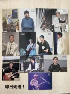 Mrs. GREEN APPLE ミセス 若井滉斗 フォトカ12枚入り