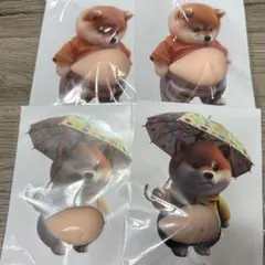 柴犬 おなかぷくぷくシール 3Dシール お腹ぷにぷにシール 4匹セット