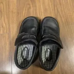 Item thumbnail for item b46deaa1-456c-4dd7-af01-e7123a8a2e3f