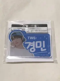 TWS ハングルネームアクリルプレートキーホルダー　ほわぬい　セミコンプリート TWS ほわぬい ハングルネームアクリルプレートキーホルダー