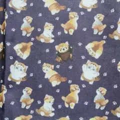 レッサーパンダと猫柄 綿生地