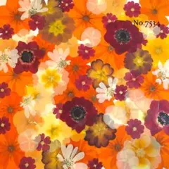♡new♡ ♡訳ありの押し花！大容量セット♡