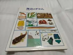 「海辺のずかん」 松岡 達英