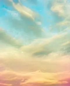 新しい朝がきた様　専用