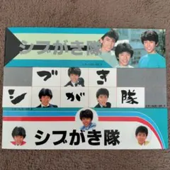 貴重エラー写真レコード❤シブがき隊 新品 音源はAB面収録 盤写真が両方A面仕様 貴重エラー写真レコード❤シブがき隊 新品 音源はAB面収録 盤写真