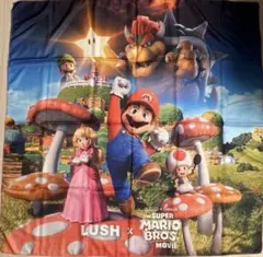 [激レア]LUSH×スーパーマリオブラザーズ コラボ Knot Wrap