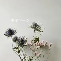 ジノリ アンティコイタリアンフルーツ 17プレート - メルカリ