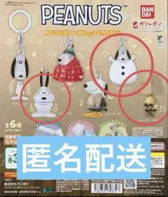 PEANUTS FUNNYver めじるしアクセサリー　スヌーピー　ガチャガチャ