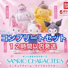 サンリオキャラクターズ ミニチュアチャーム ライブキャラクター 全種セット ⑬
