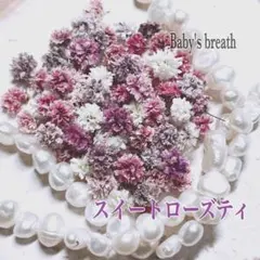 かすみ草ドライフラワー スイートローズティ 5～7mm 70粒+α