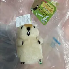 マーモット キャラクターグッズ