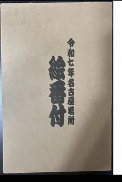 令和七年名古屋 絵番付　大相撲　力士　相撲グッズ
