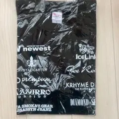 avalanche ICELINK Tシャツ　クライムデニム