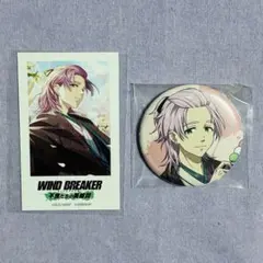 WIND BREAKER ウィンブレ ウィンヒロ 缶バッジ フォト風カード 桐生