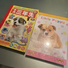 平成レトロ メモ帳 犬 学校 時間割 スーパーインデックスメモ - メルカリ