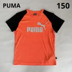 プーマ 半袖Tシャツ ビッグロゴ 蛍光オレンジ 150 スポーツ　速乾