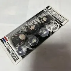 【未開封】応募者全員サービス 鋼の錬金術師 ミニピンズフィギュアBLACK