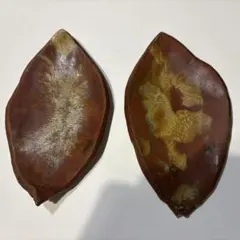 柿の葉の皿　菓子皿　柿の葉　和菓子皿　和食器　小皿　和食