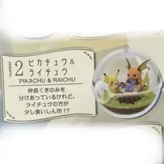ポケモン ポケットモンスター テラリウムコレクション ピカチュウ & ライチュウ