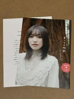 未開封　櫻坂46 松田里奈 写真集 まつりの時間 アザーカットミニブック 当選品 未開封 櫻坂46 松田里奈 写真集 まつりの時間 アザーカットミニブック