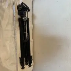 Item thumbnail for item 8568ce2c-b9eb-4f7a-80d5-23e56c1aaffe