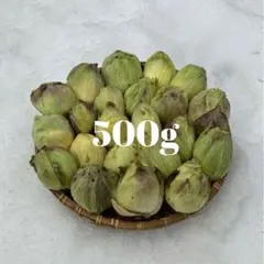 山菜 ふきのとう 新潟県産 採れたて新鮮発送 小、中、大サイズ300g