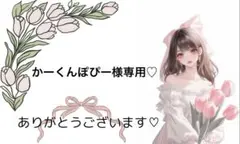 かーくんぽぴー様専用
