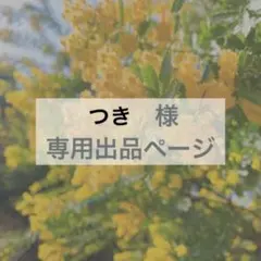 つき様　専用出品