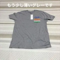 Hang Ten ポケット付き Tシャツ グレー Lサイズのサムネイル