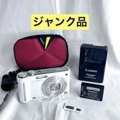 C216 Panasonic LUMIX DMC-ZX1 充電器付き - メルカリ