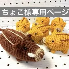 ちょこ様専用ページあみぐるみ♡