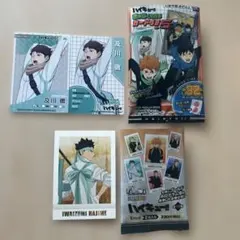 ハイキュー!!及川徹 岩泉一 青葉城西 きゃらくたぶる ぱしゃこれpremium