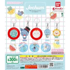 JOCHUM ジェオチャム　めじるしアクセサリー　ルル、ヤヌカミ