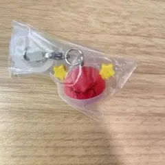 ポケモンめじるしアクセサリー2 ビリリダマのスピードスター