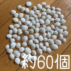 ◾️自由研究や工作に◾日本海側の秋田の海◾約60個◾️天然◾️キャンドル◾️アクセサリー