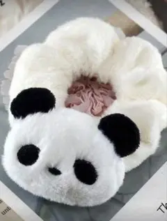 Item thumbnail for item ab35fc03-039f-46db-88f4-41790dc42dd2