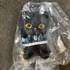 mofusand 黒仔猫にゃんマスコット