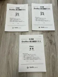 グノーブル　グノレブ　6年生　セット グノーブル GnoRevグノレブ 6年生 - メルカリ