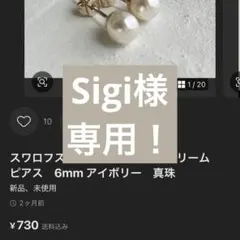 Sigi様　専用！