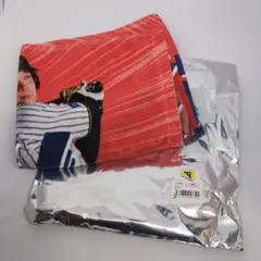 Item thumbnail for item 4430d26a-5eb0-44e2-9581-1f4837effe3e